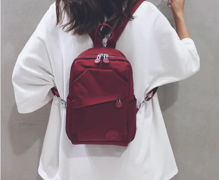 حقيبه ظهر صغيره بتصميم عصري